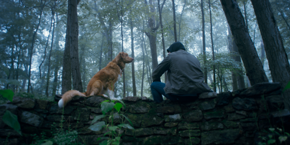 indy and todd in good boy indy and todd in good boy